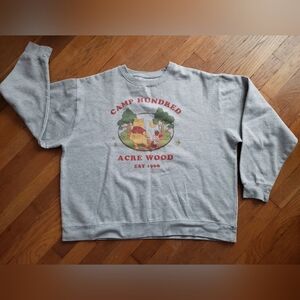 Disney Winnie The Pooh Gray Camp Hundred Acre Wood Sweatshirt 2XL